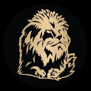 Picture of Ducere Global Business School